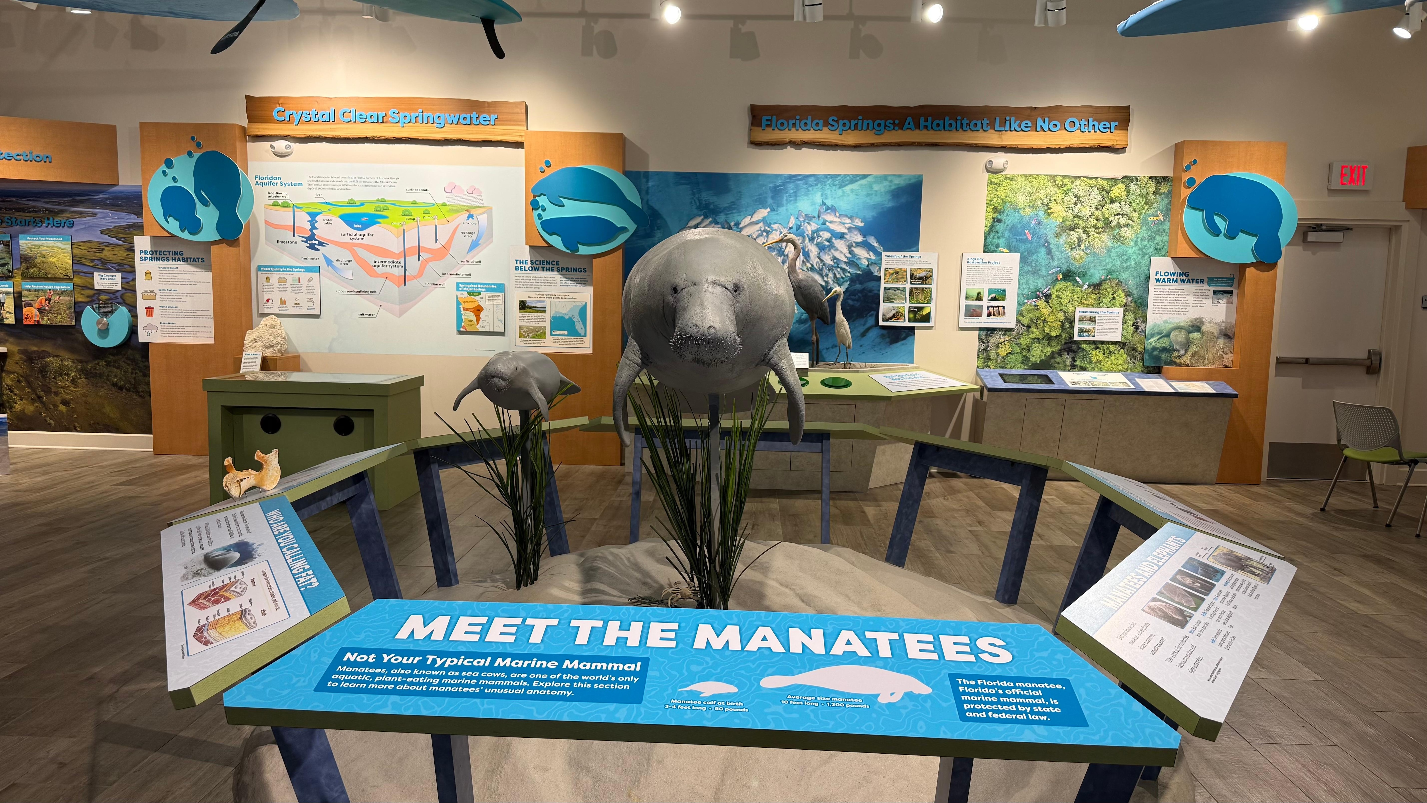 Crystal River National Wildlife Refuge, Crystal River, FL