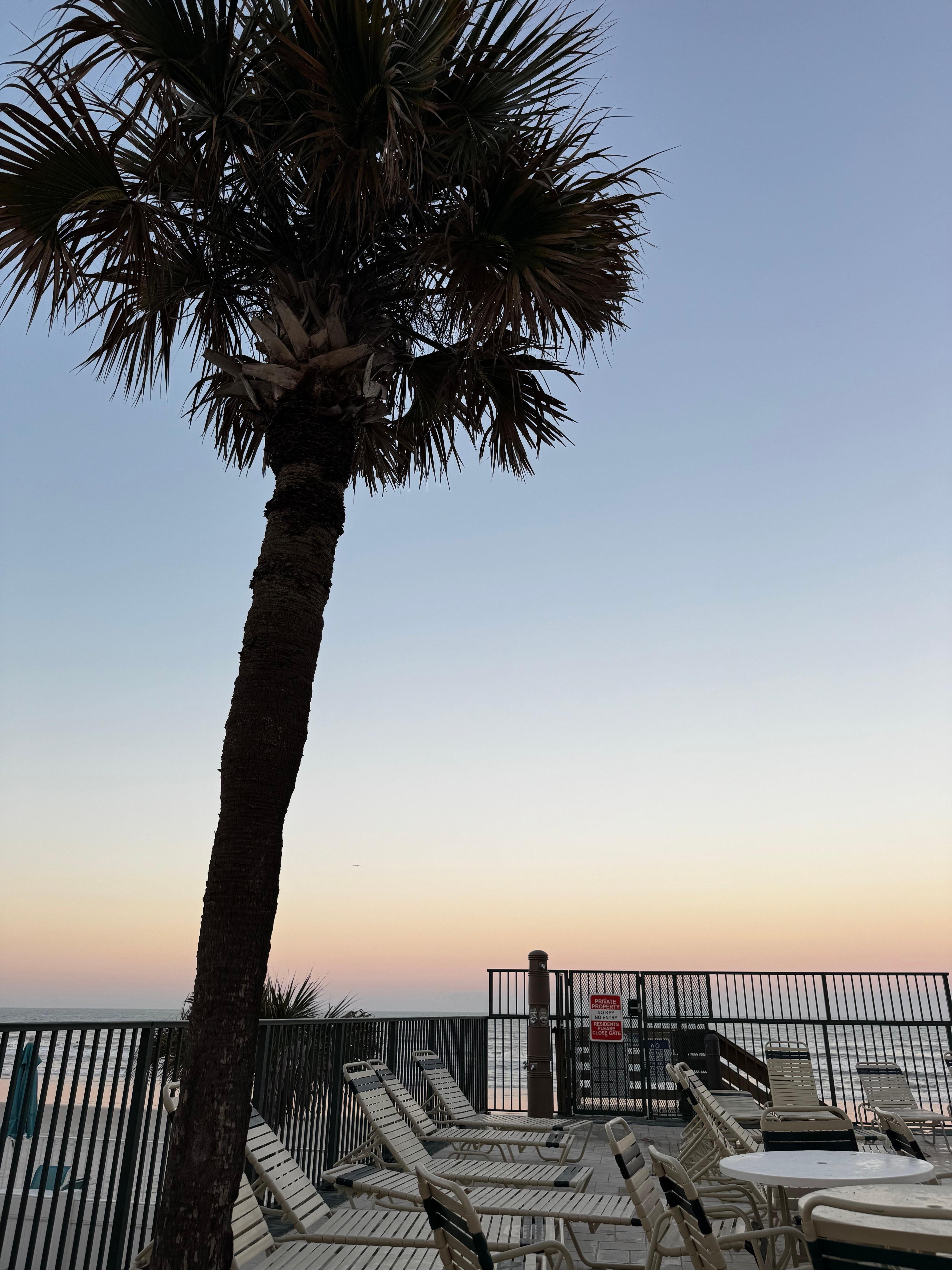 Dinner on the pool deck using the grills on site. 