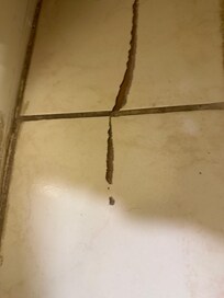 Tiles were chipped and broken throughout the condo.