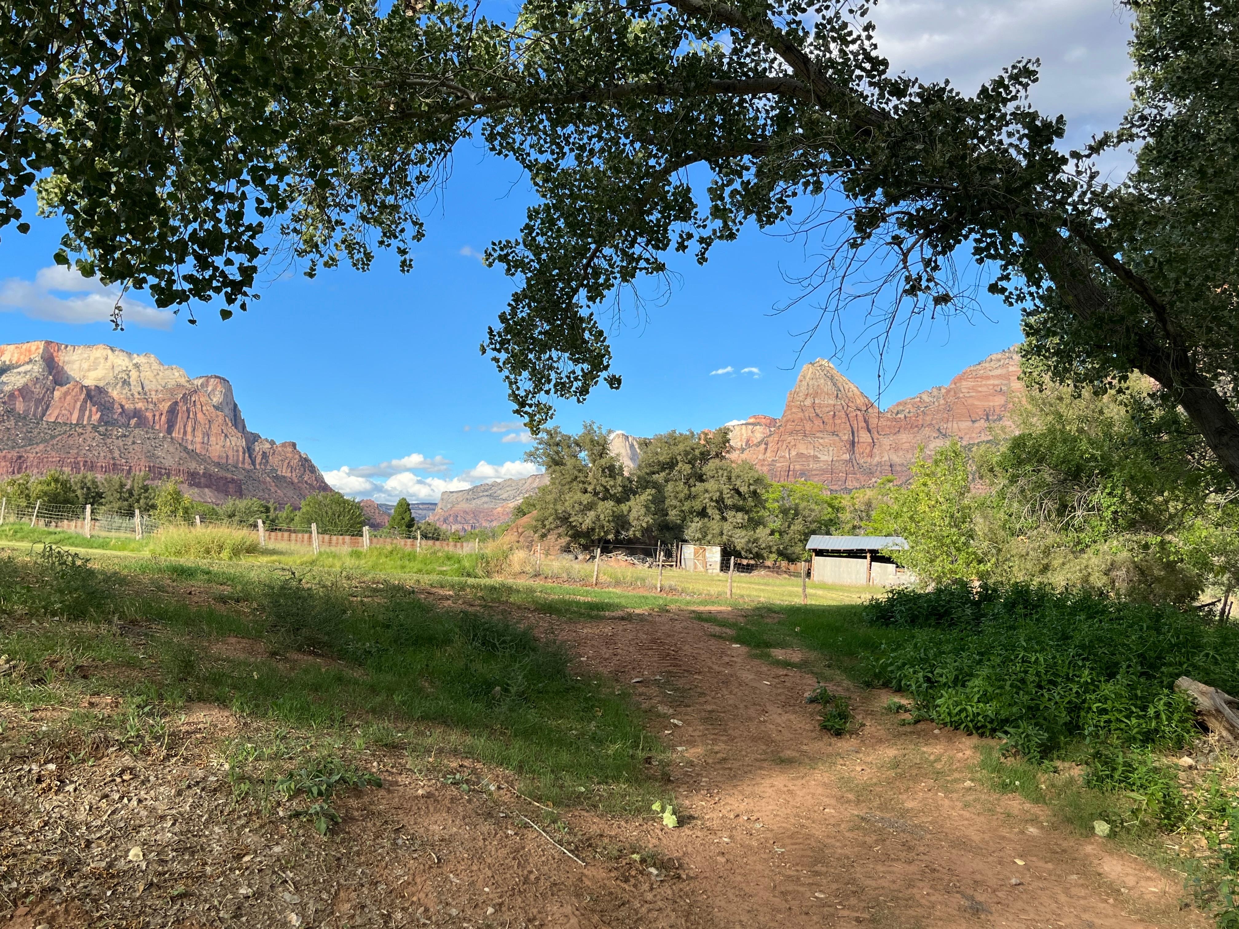 View out our patio door 