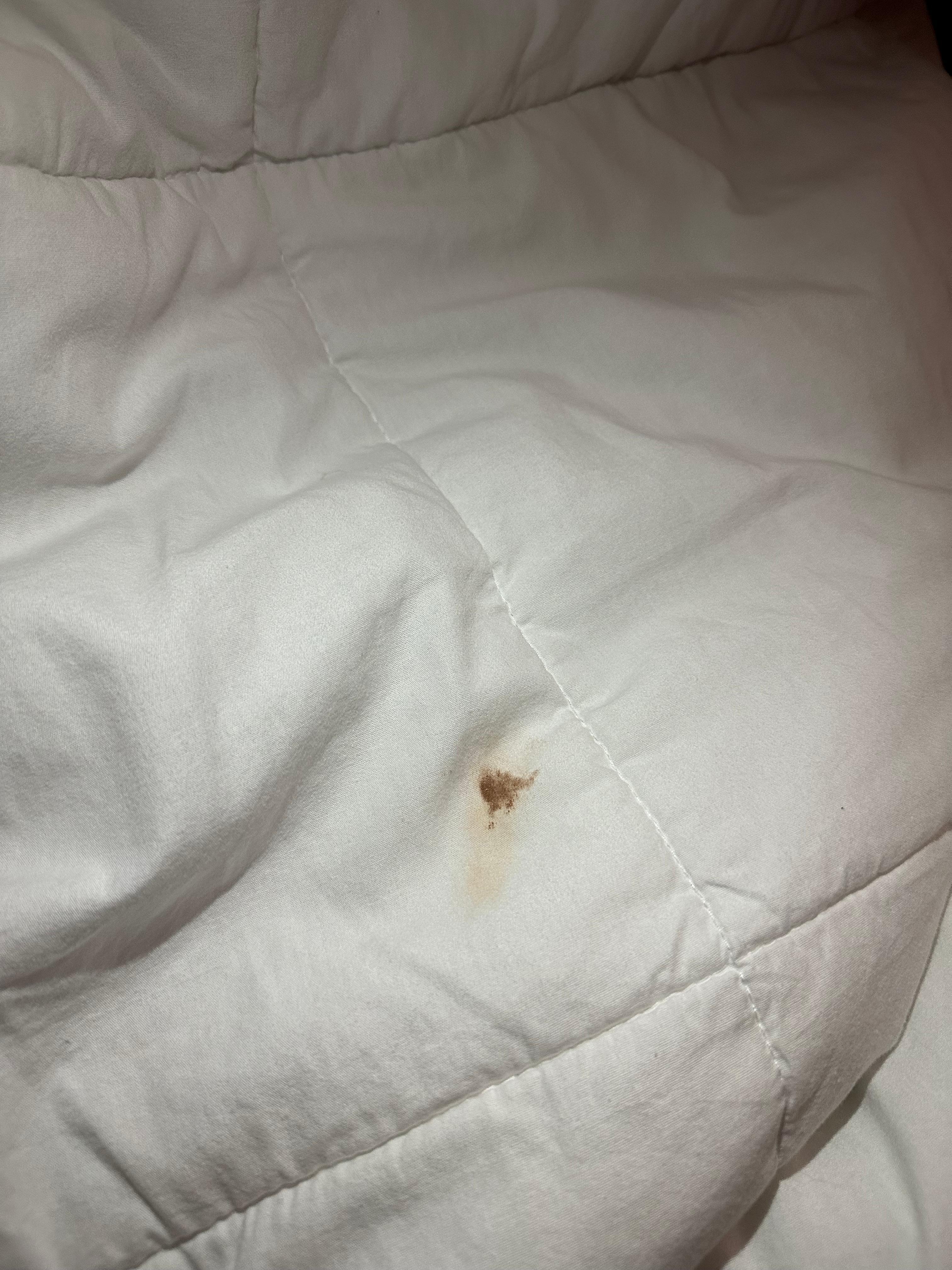 Dried blood stain on blanket