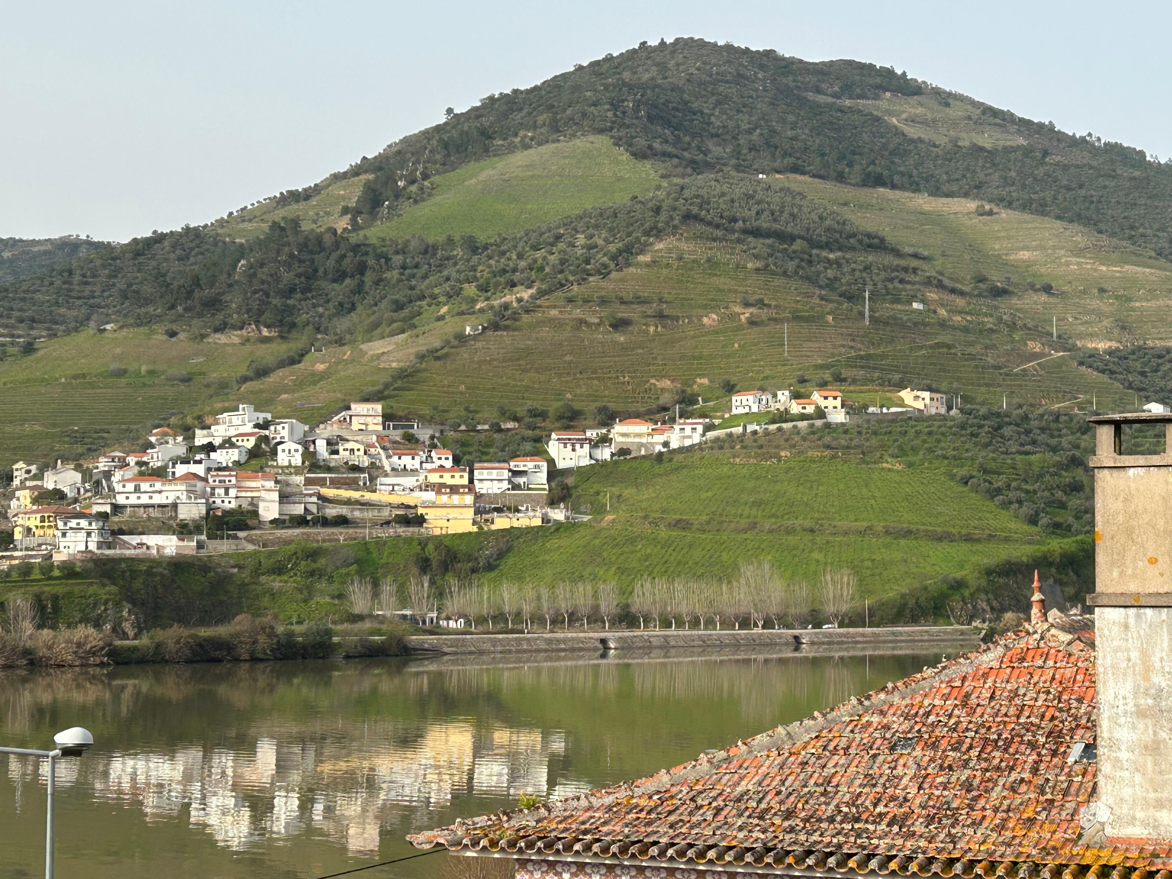 Part of the view!  Just amazing. 