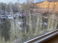 Mold and slime on window