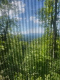The scene from the back porch