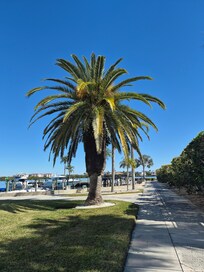 In back by marina and the water causeway