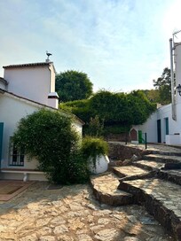 Steps from main house to outhouse