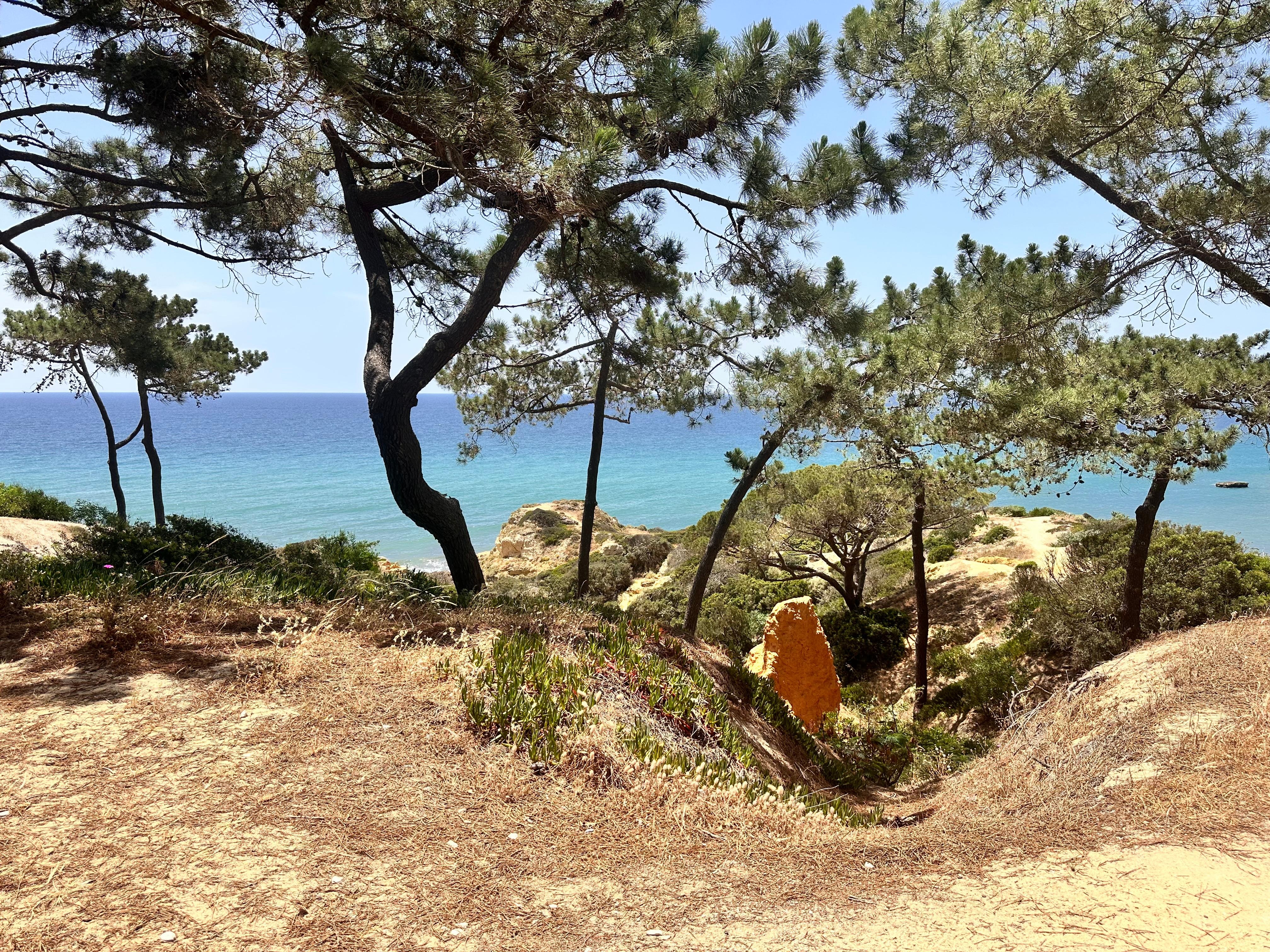 Très belle vue sur la mer au bout du Park 