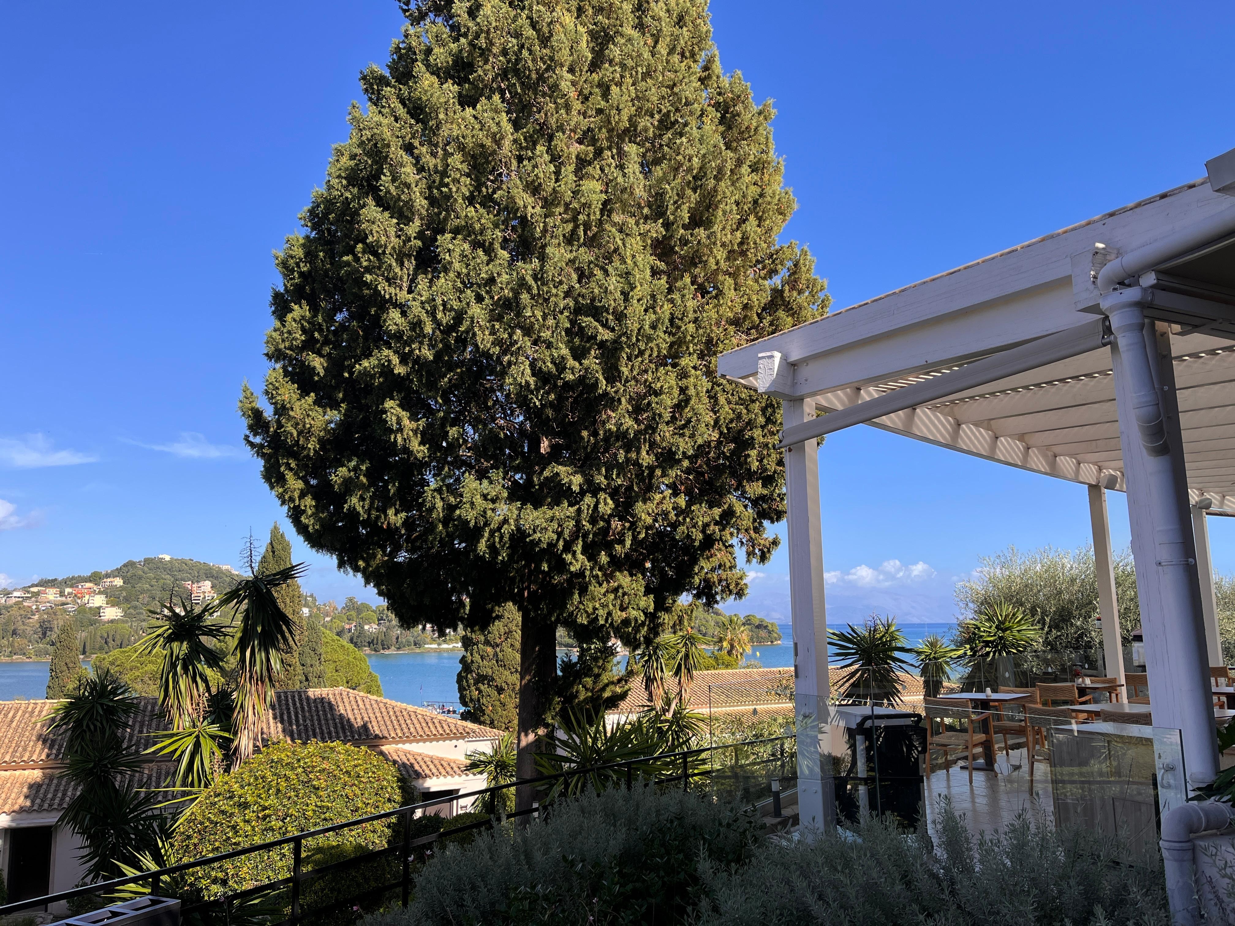 Ausblick von der Terrasse beim Essen 