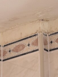 Mould