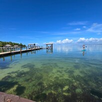 Pic of how clear the water is