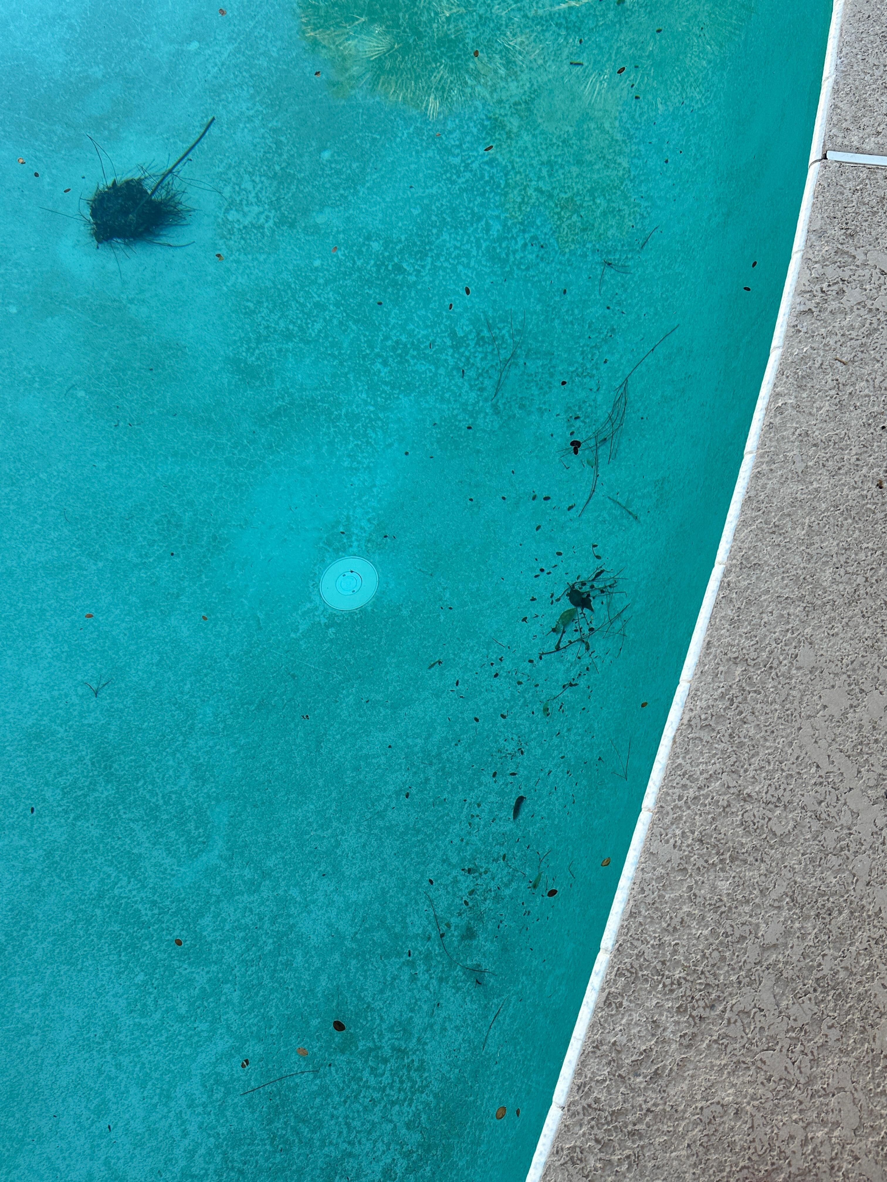 Pool drain plugged by excess debris