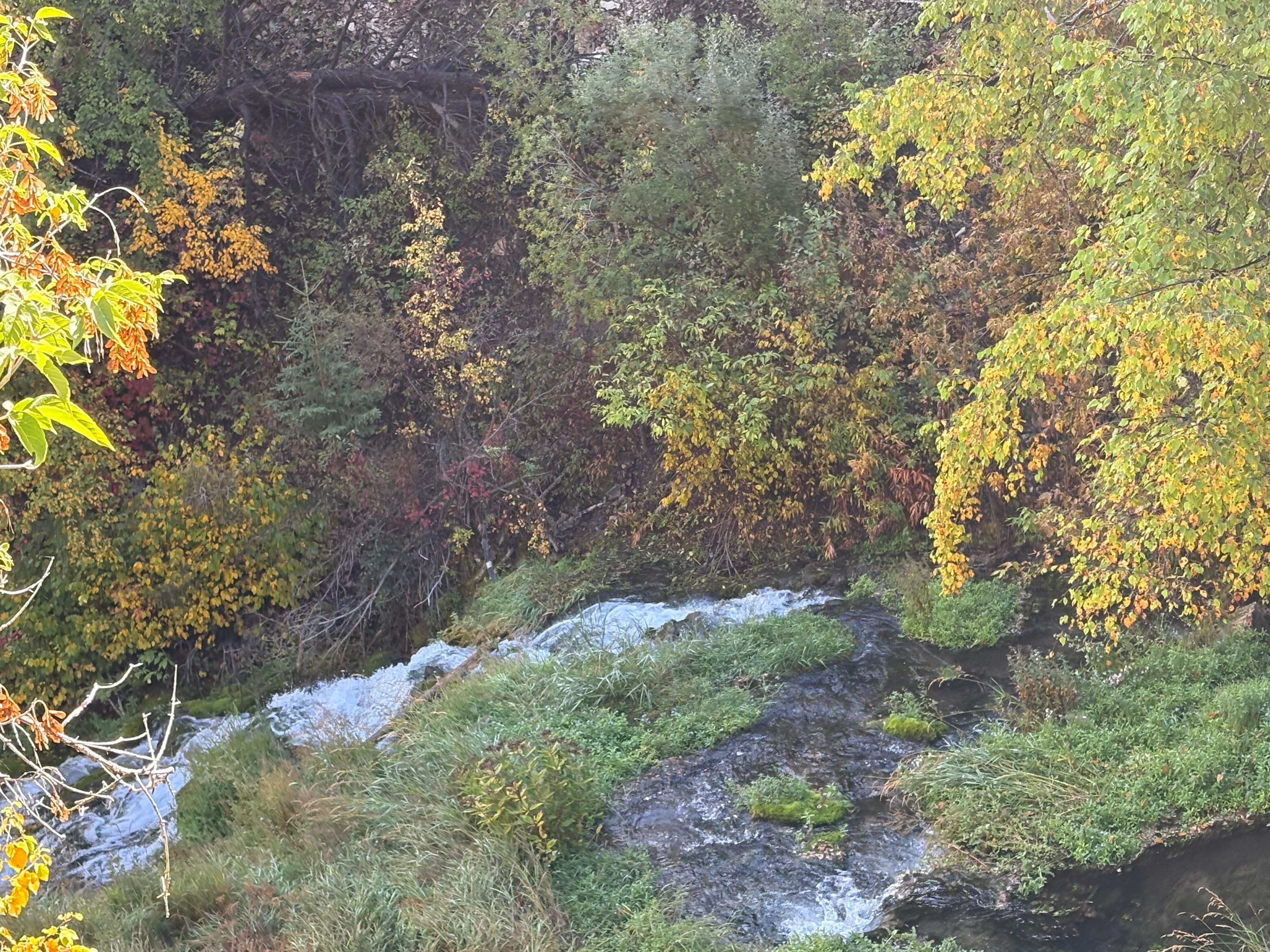 Spearfish Canyon. A beautiful drive. 