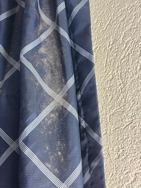 Mold/mildew on curtains