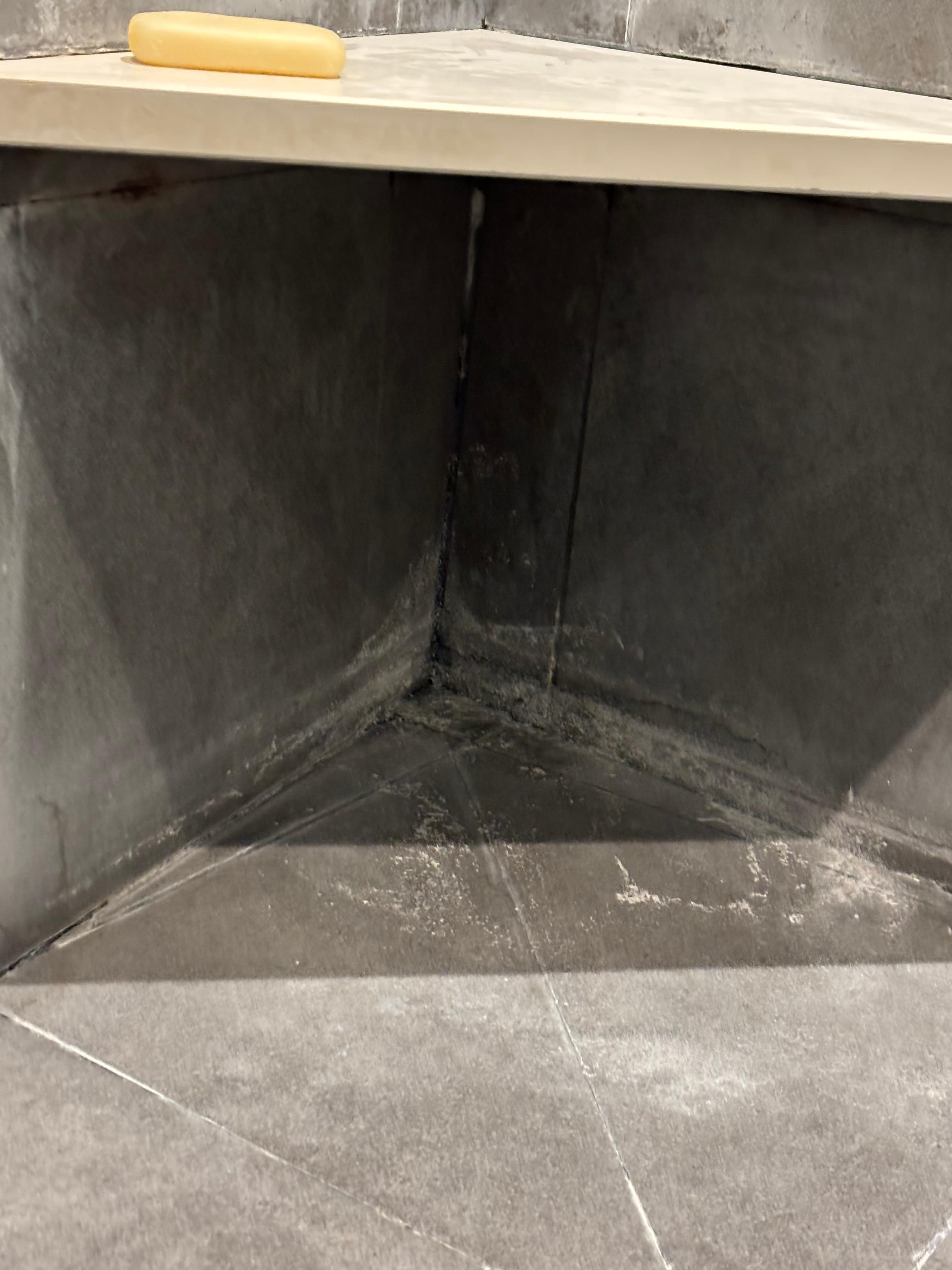 Condition of bathroom shower as water didn’t drain properly