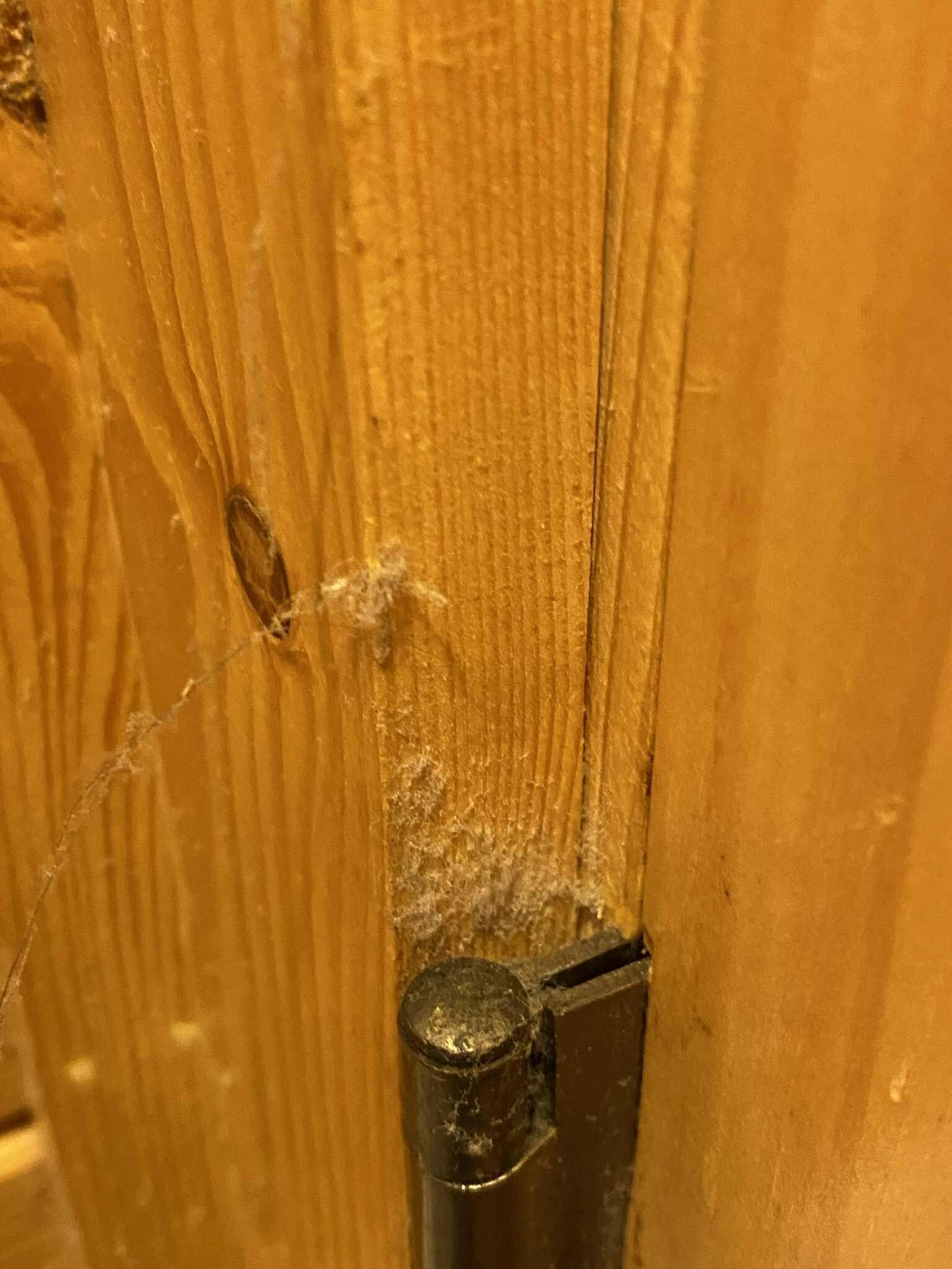 Dirty on back of door, complained and cleaning folks did come and wipe this off.