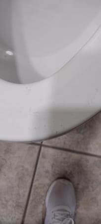 Dirty toilet looks like someone dirty butt was on it, had to scrub hard with Clorox wipes