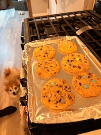 Fully functioning kitchen for cooking and baking - just bring enough ingredients!