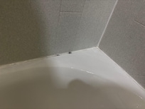 Mold/mildew near the tub