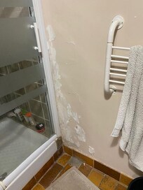 plafonnage douche