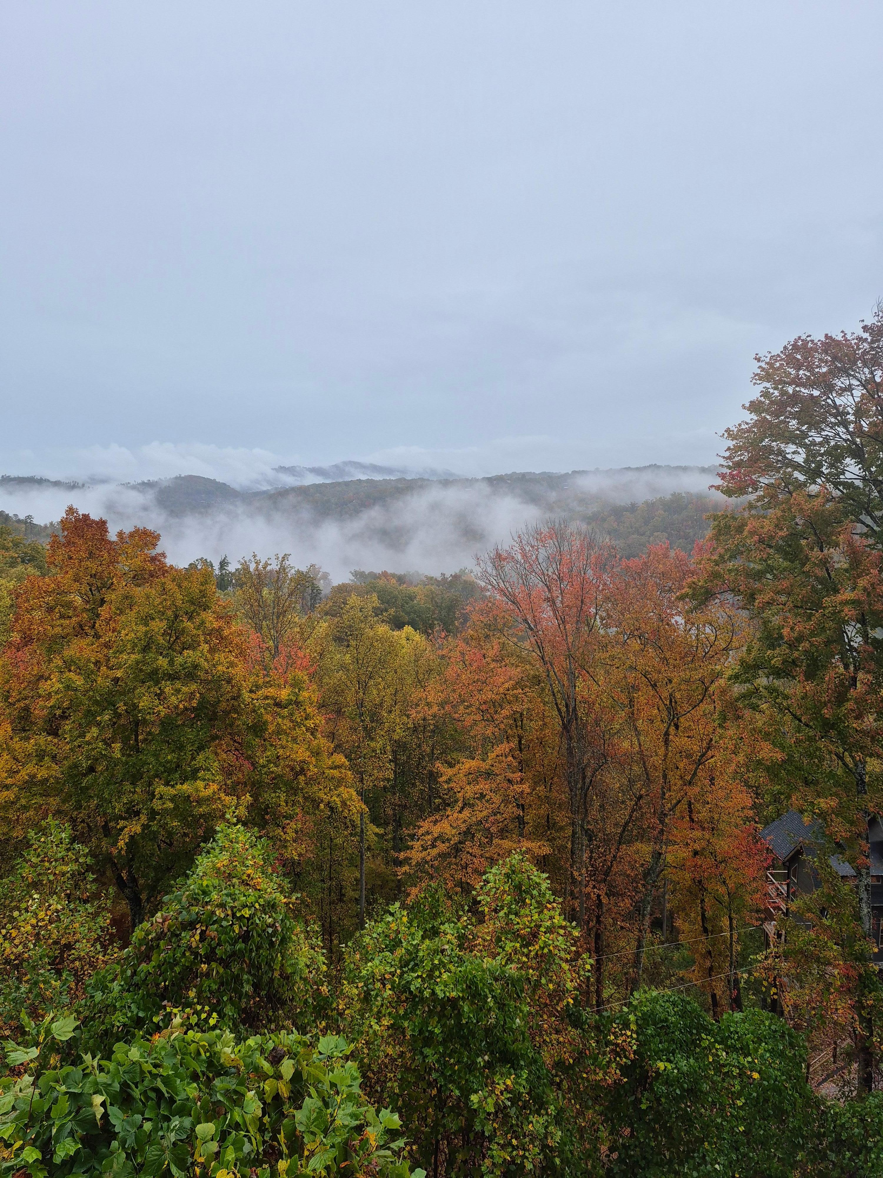 Lower deck view late October 
