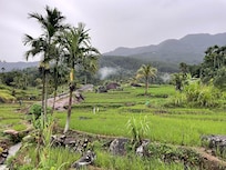 Rice paddy just below hotel