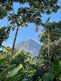 Our view from bed!