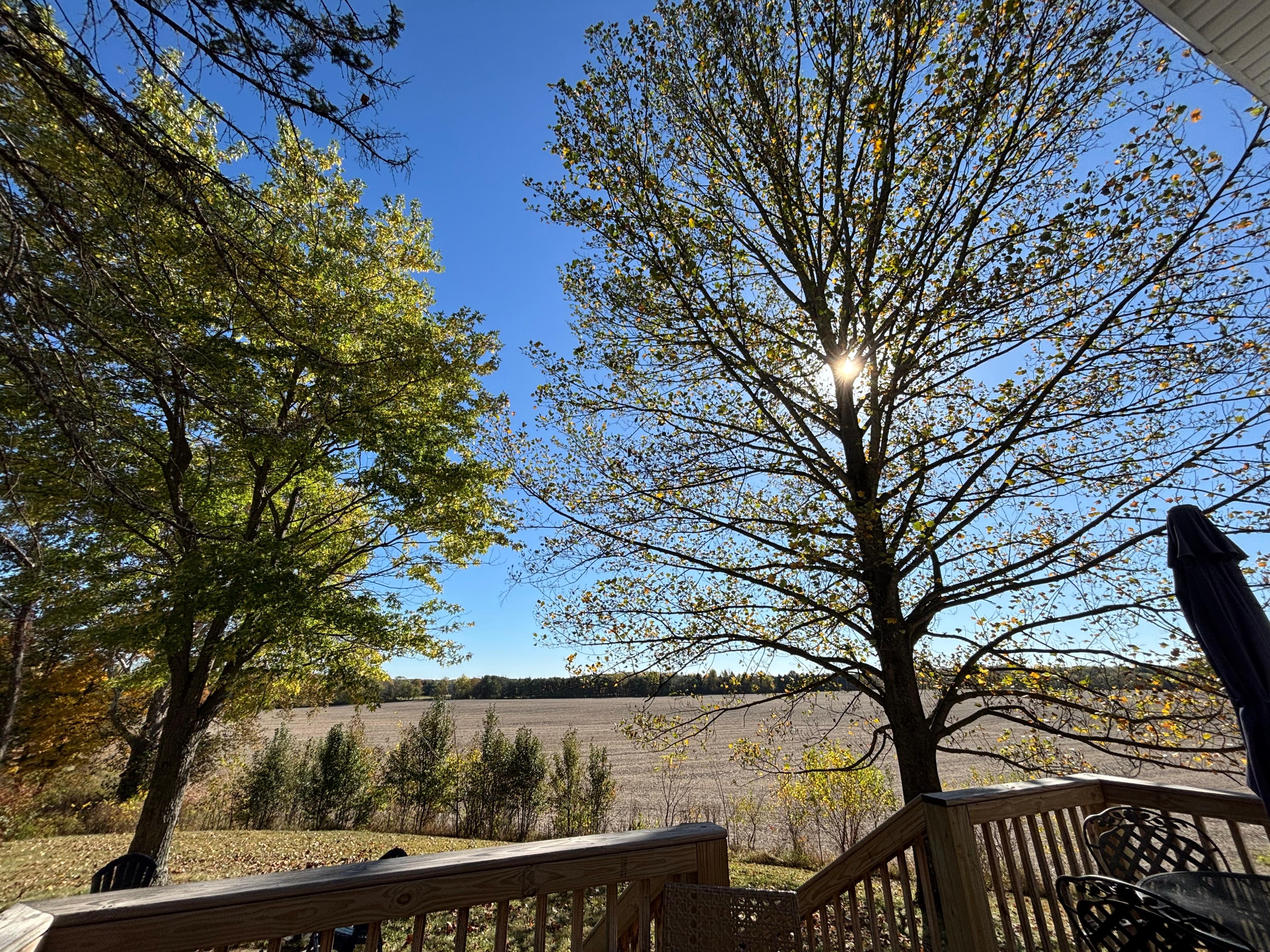 Back patio with picnic table and fire pit