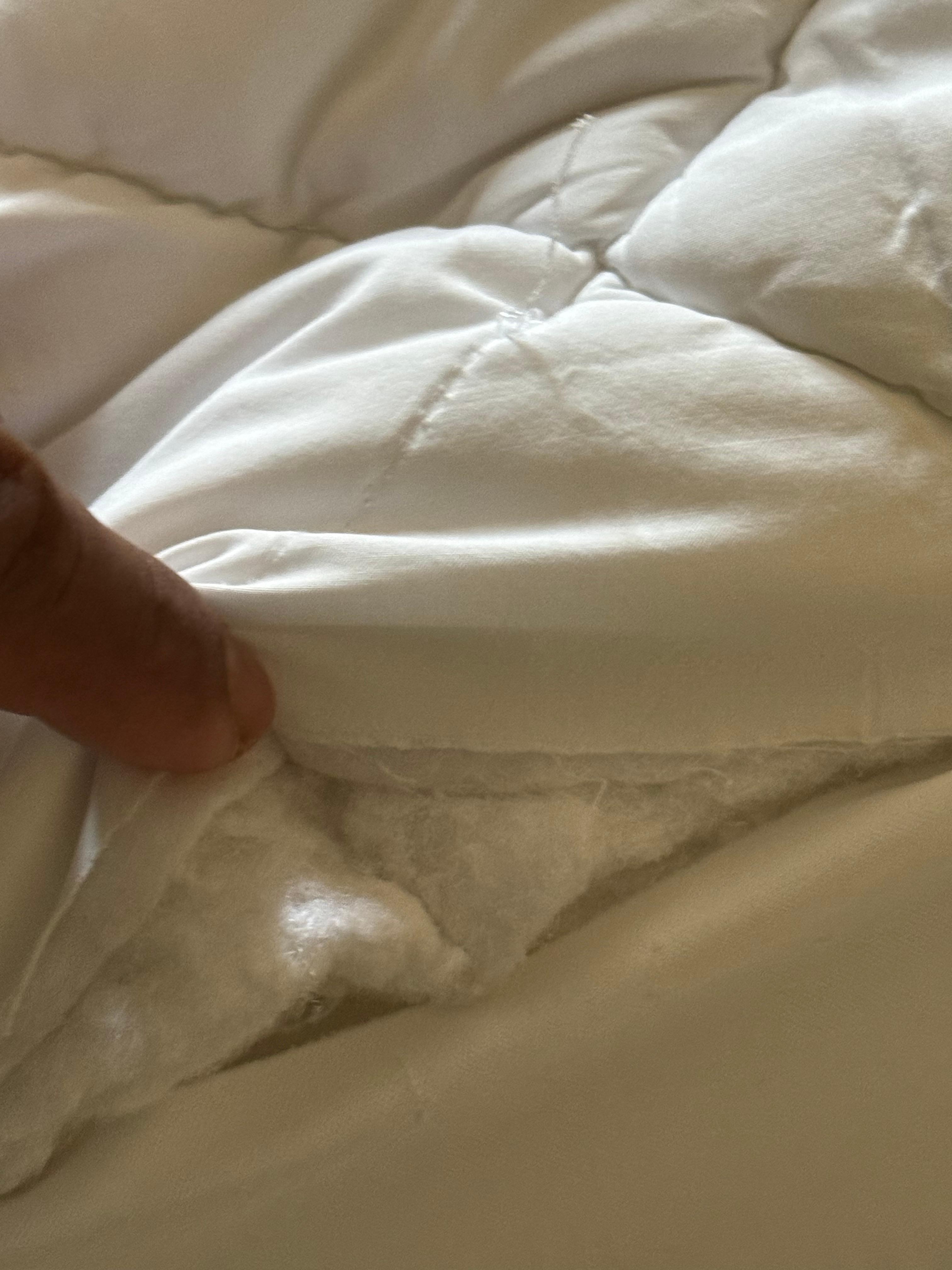 Bed sheet/comforter torn 