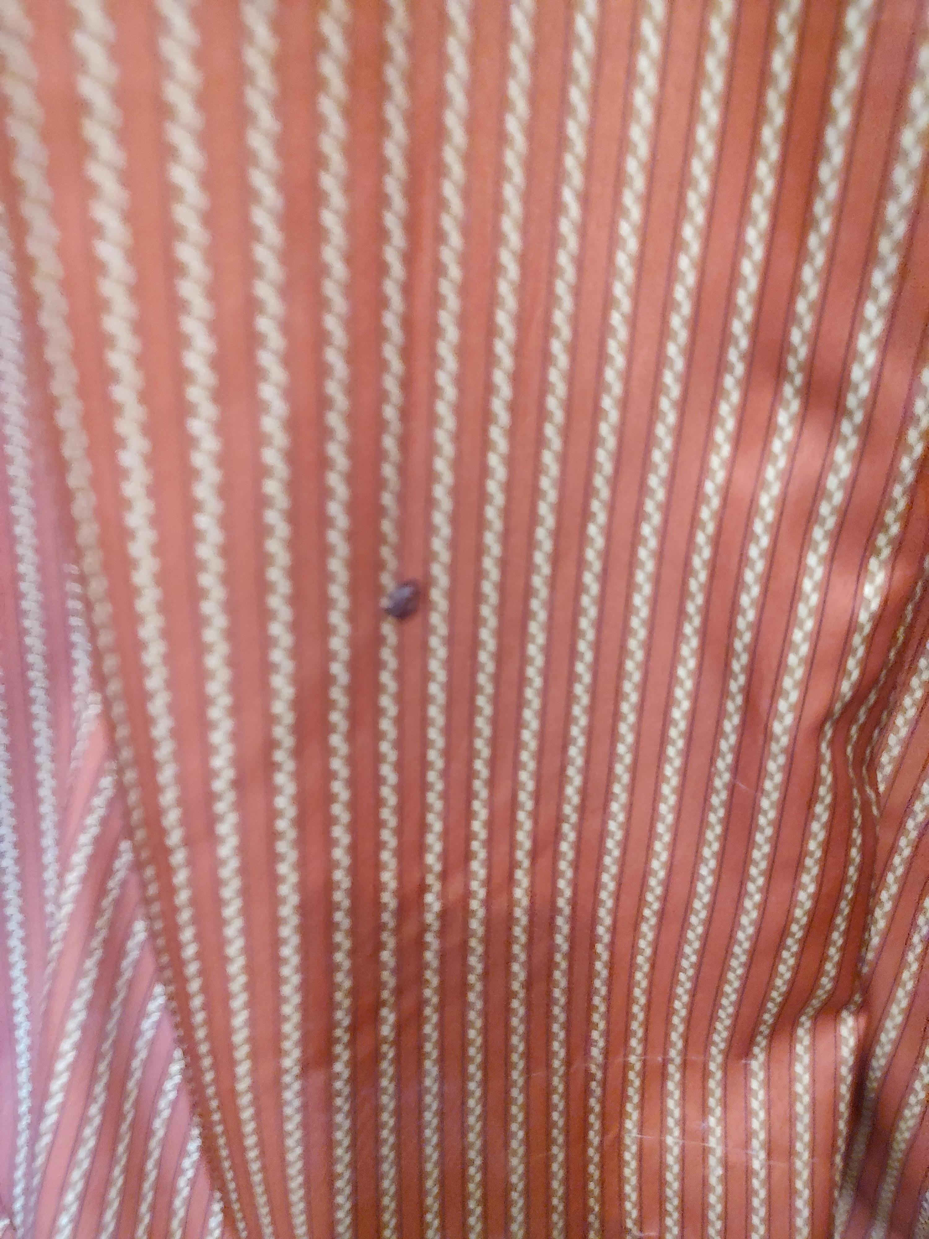 There was 2bugs on the curtains