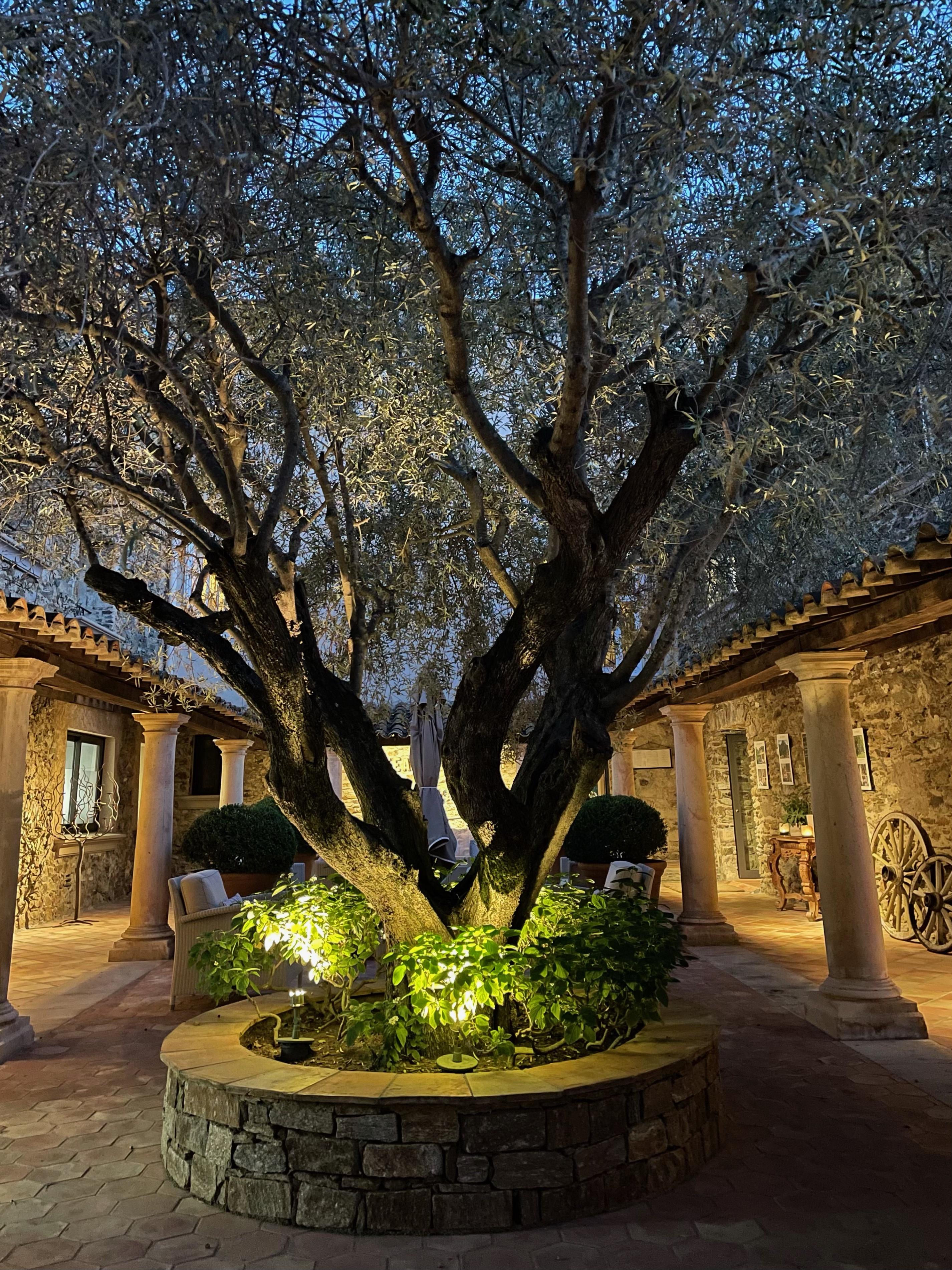 Hotel entrance