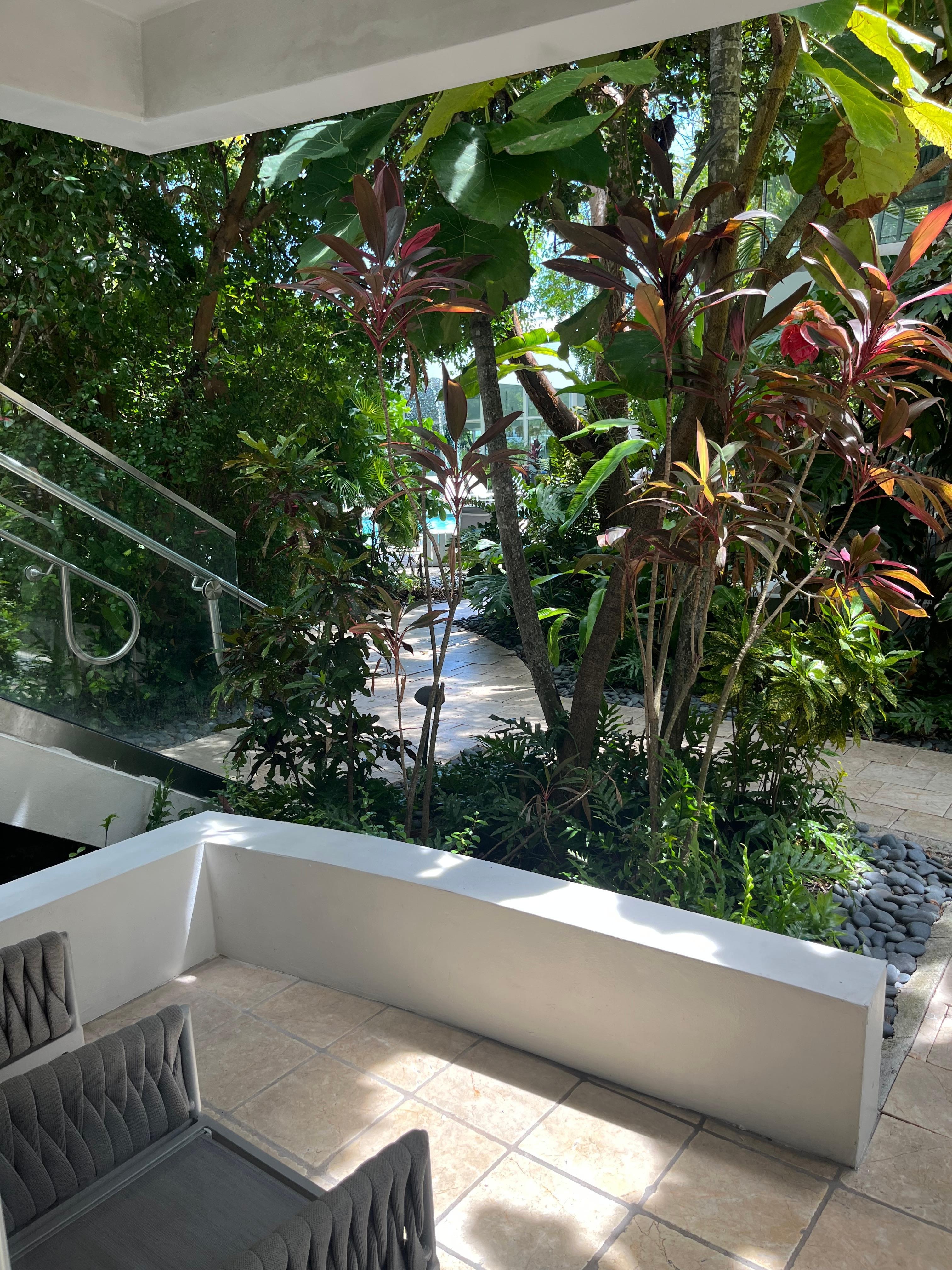  View from patio
