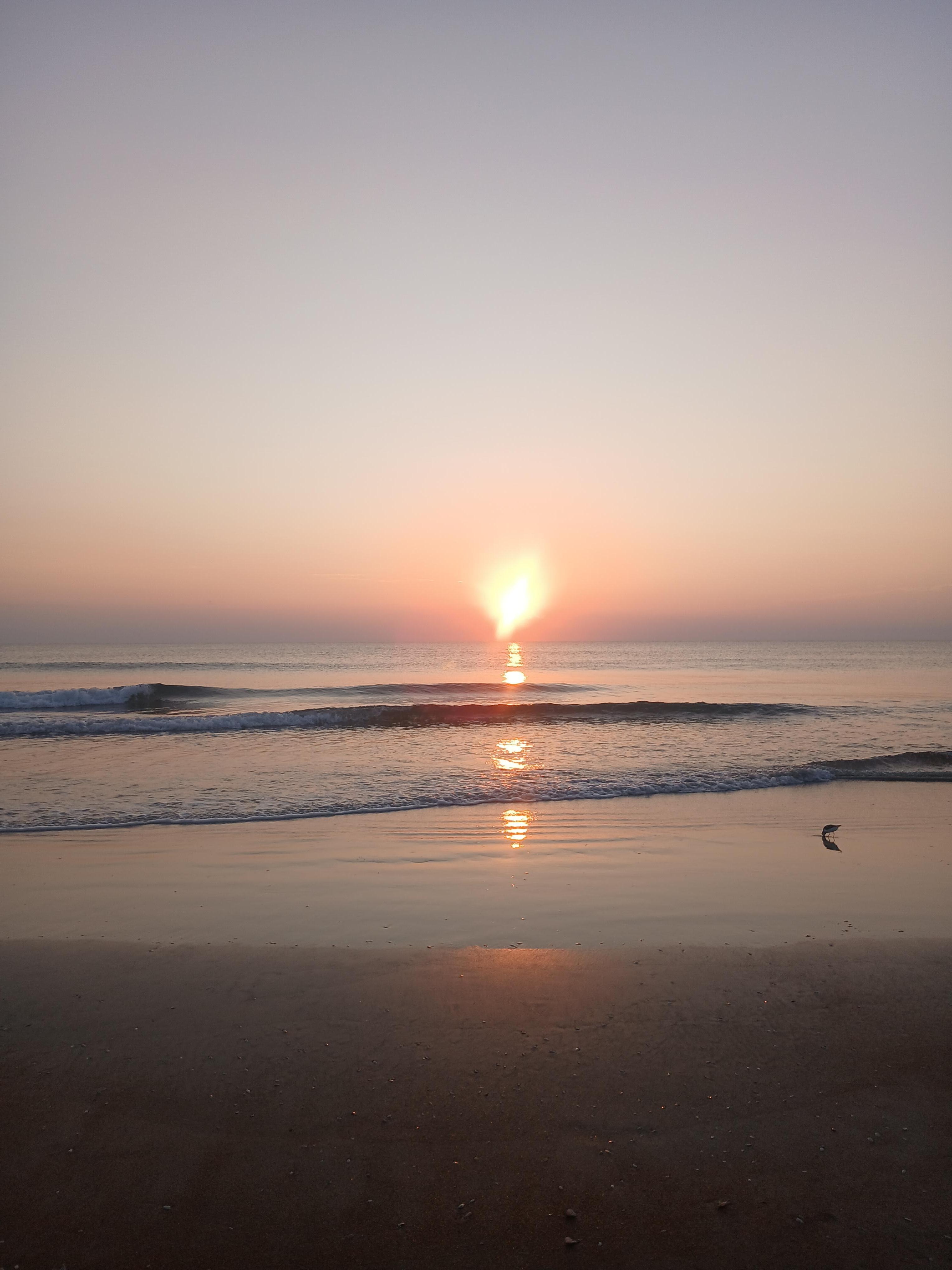 Beautiful sunrise!