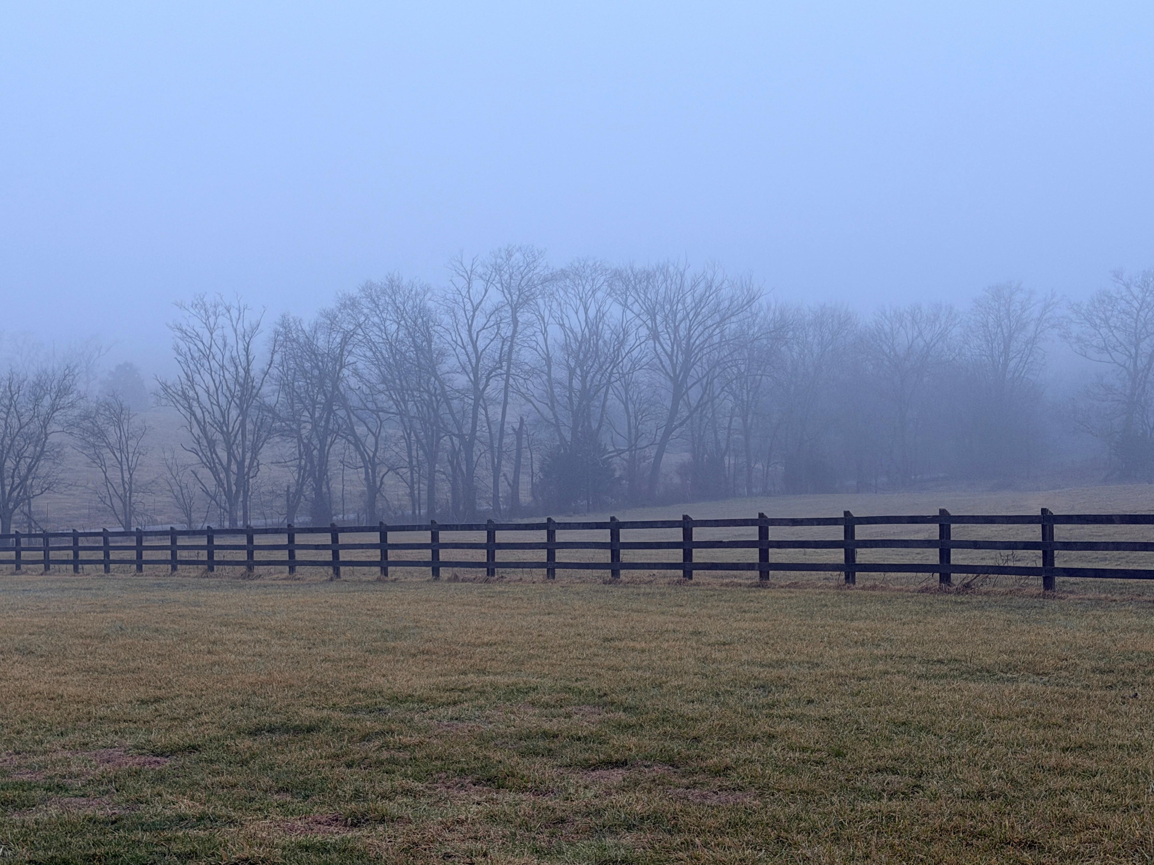 Awoke to foggy morning view