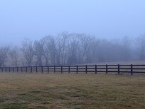 Awoke to foggy morning view