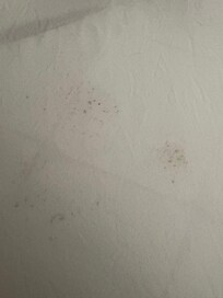 Molded stains