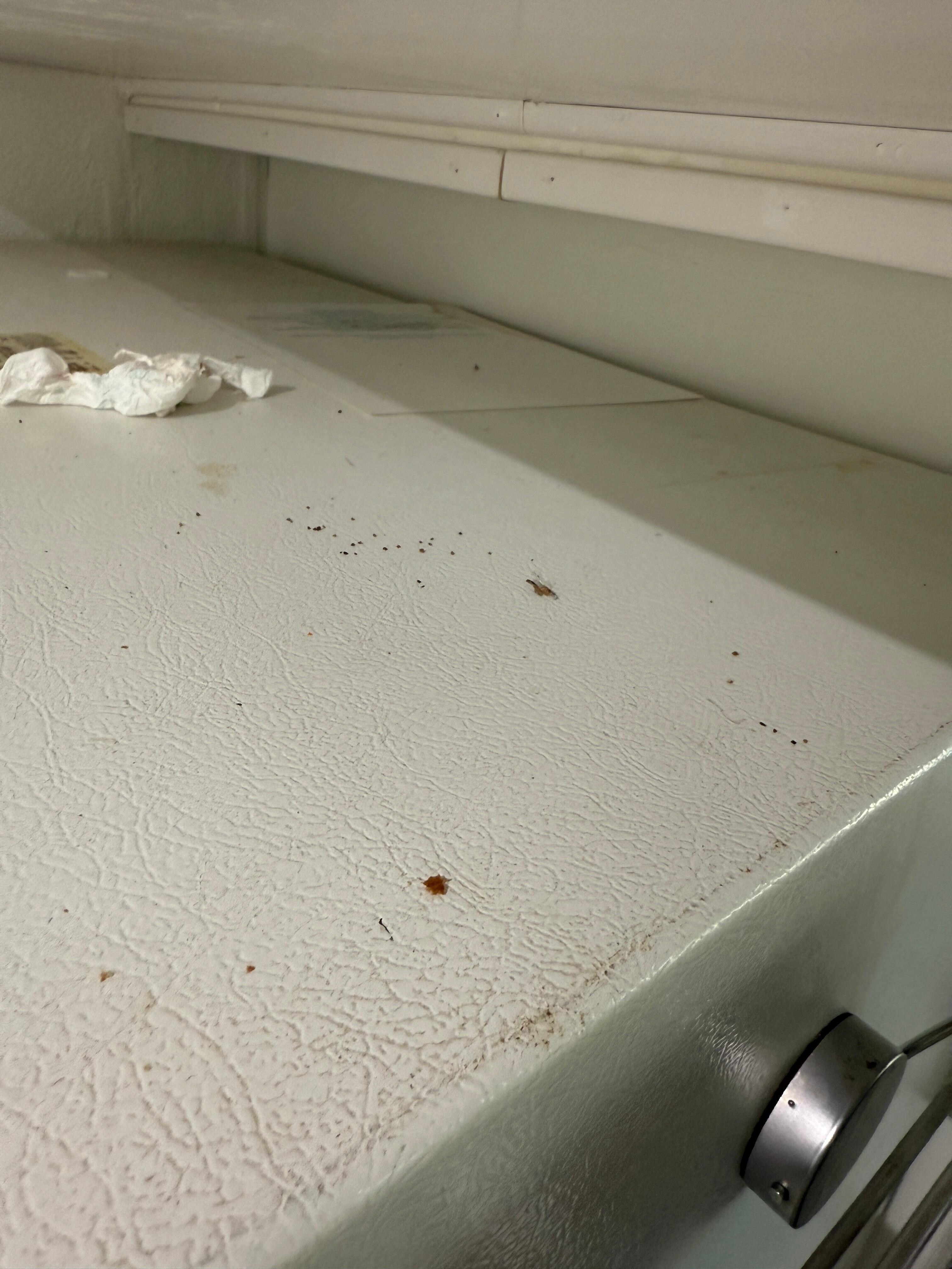 Disgusting top of the fridge 