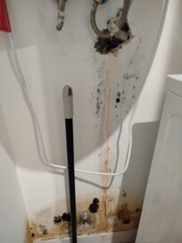 Mur moisi à l'intérieur du placard de la sale de bain