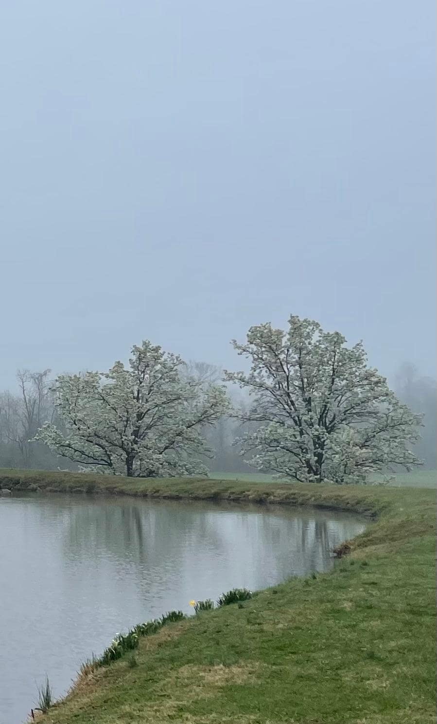 Again the drive out of the property is awesome!