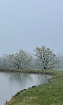 Again the drive out of the property is awesome!