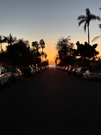 The short walk from the cottage to the beach.