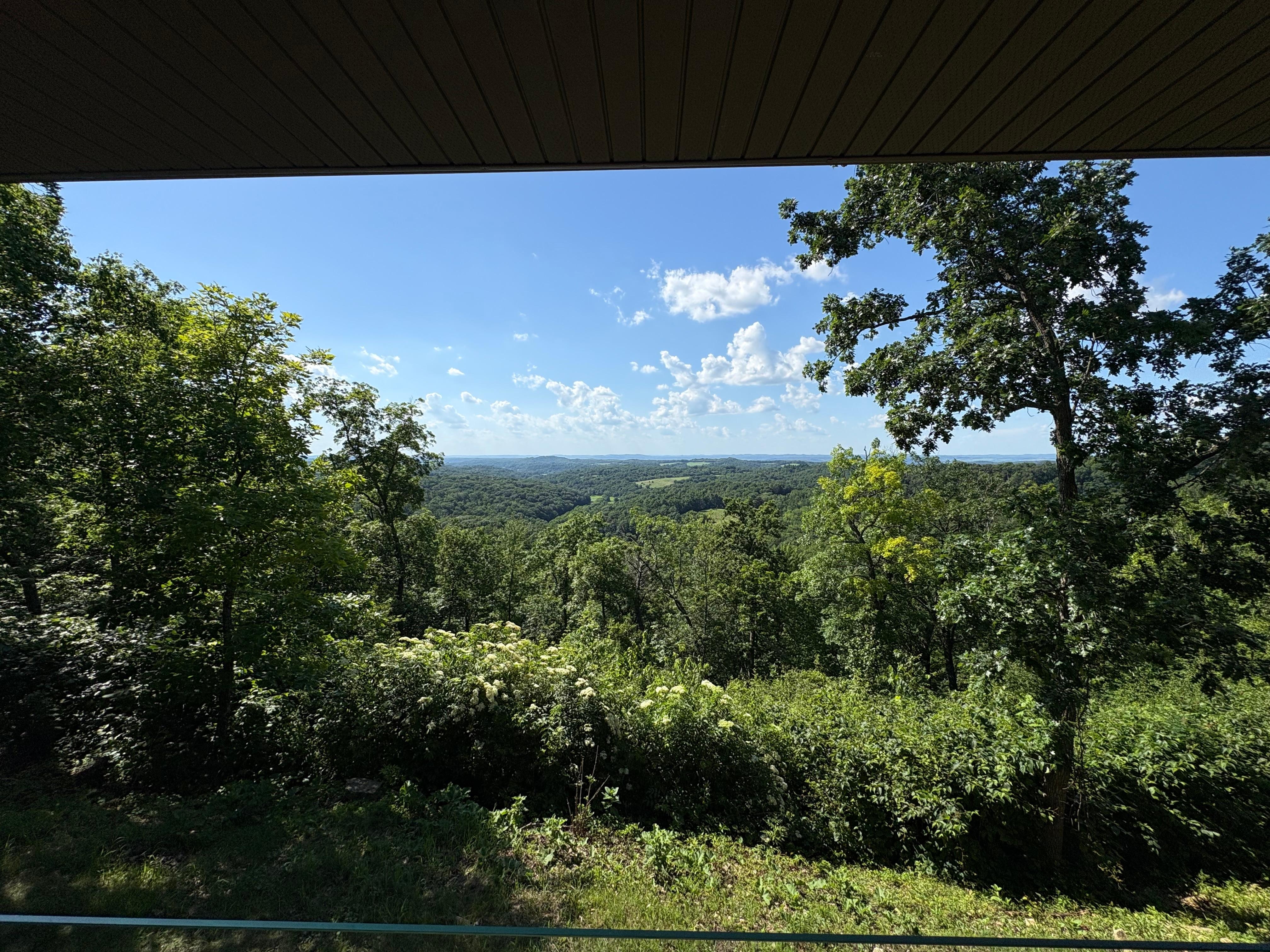 View from back porch
