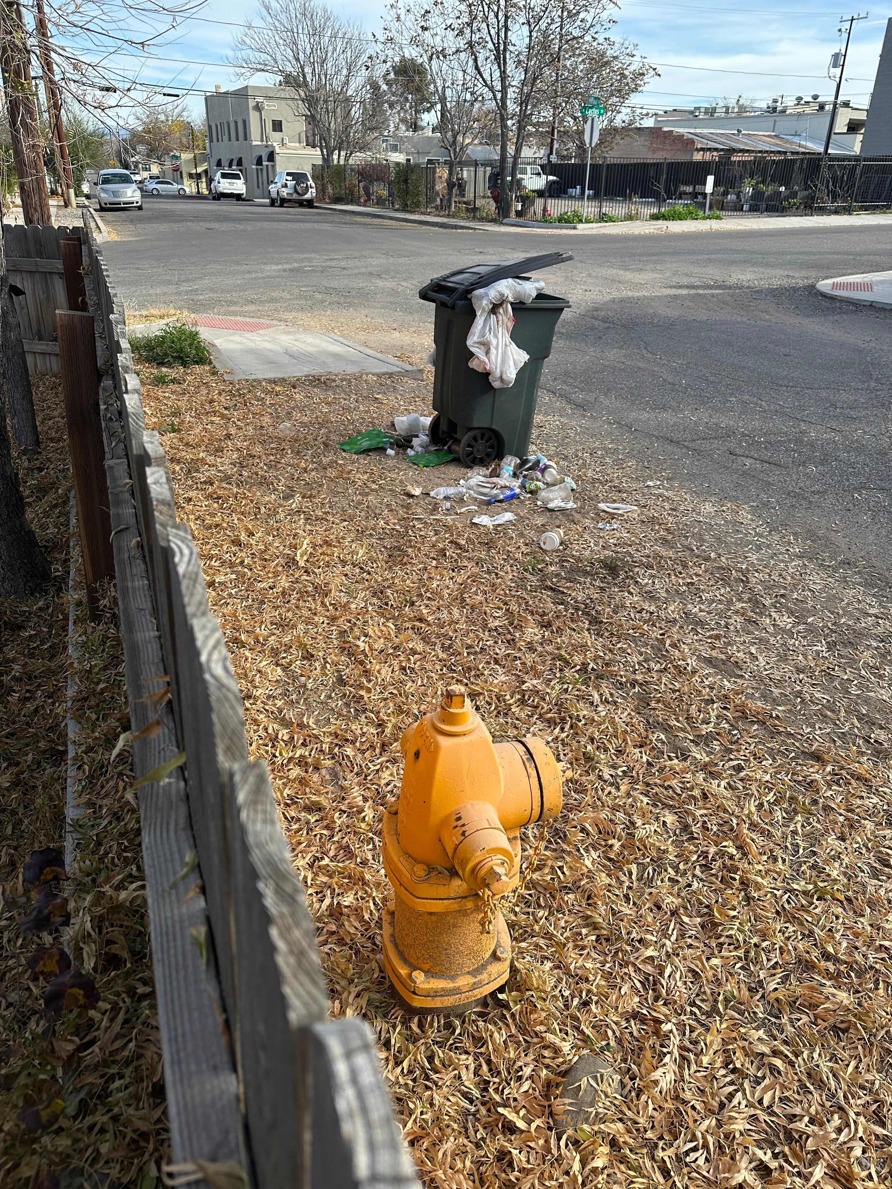 Trash at the curb, can’t add the photo of the full can being returned to the driveway 
