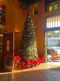 Front entry for Christmas