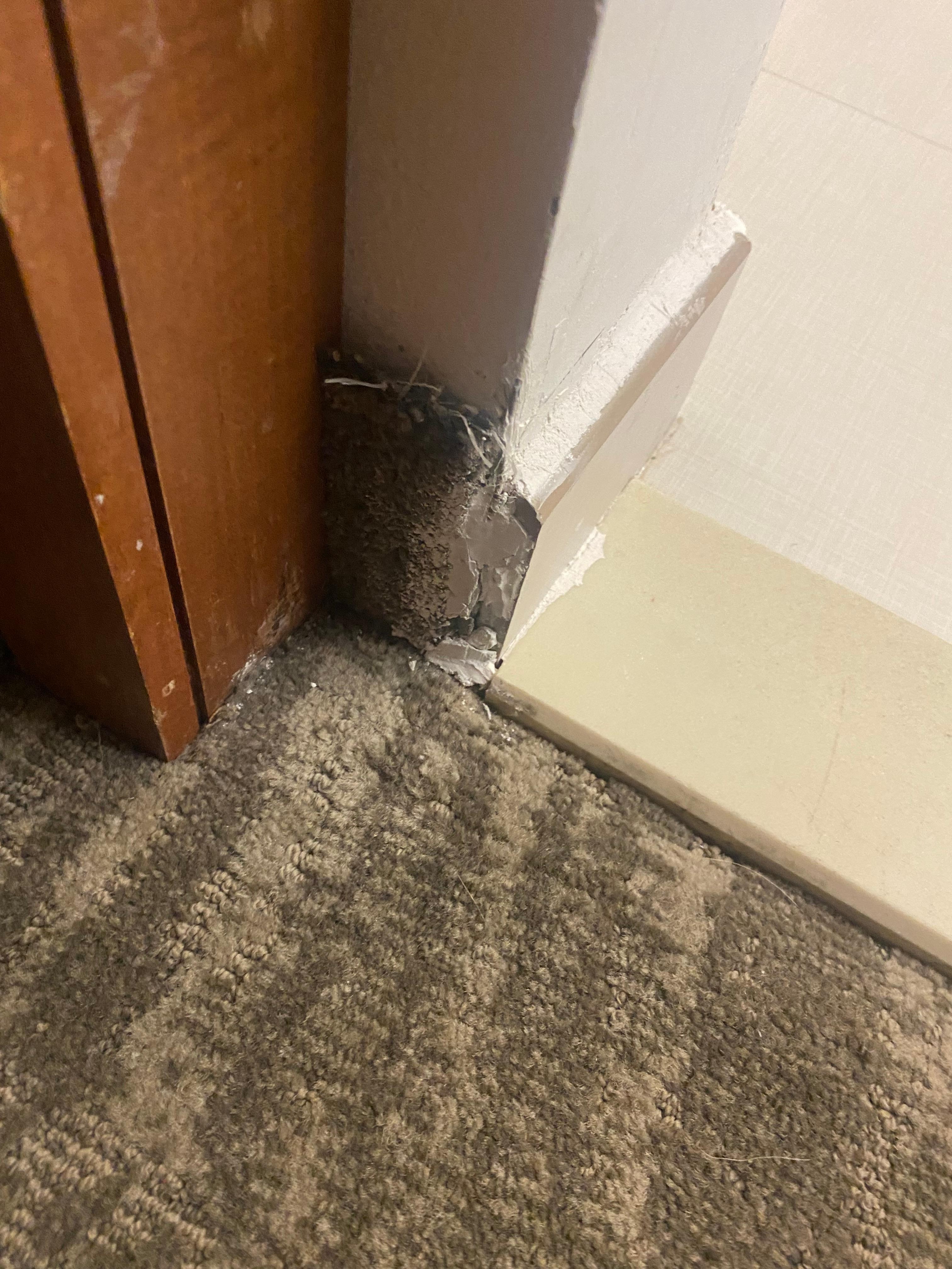 Door outside the bathroom 