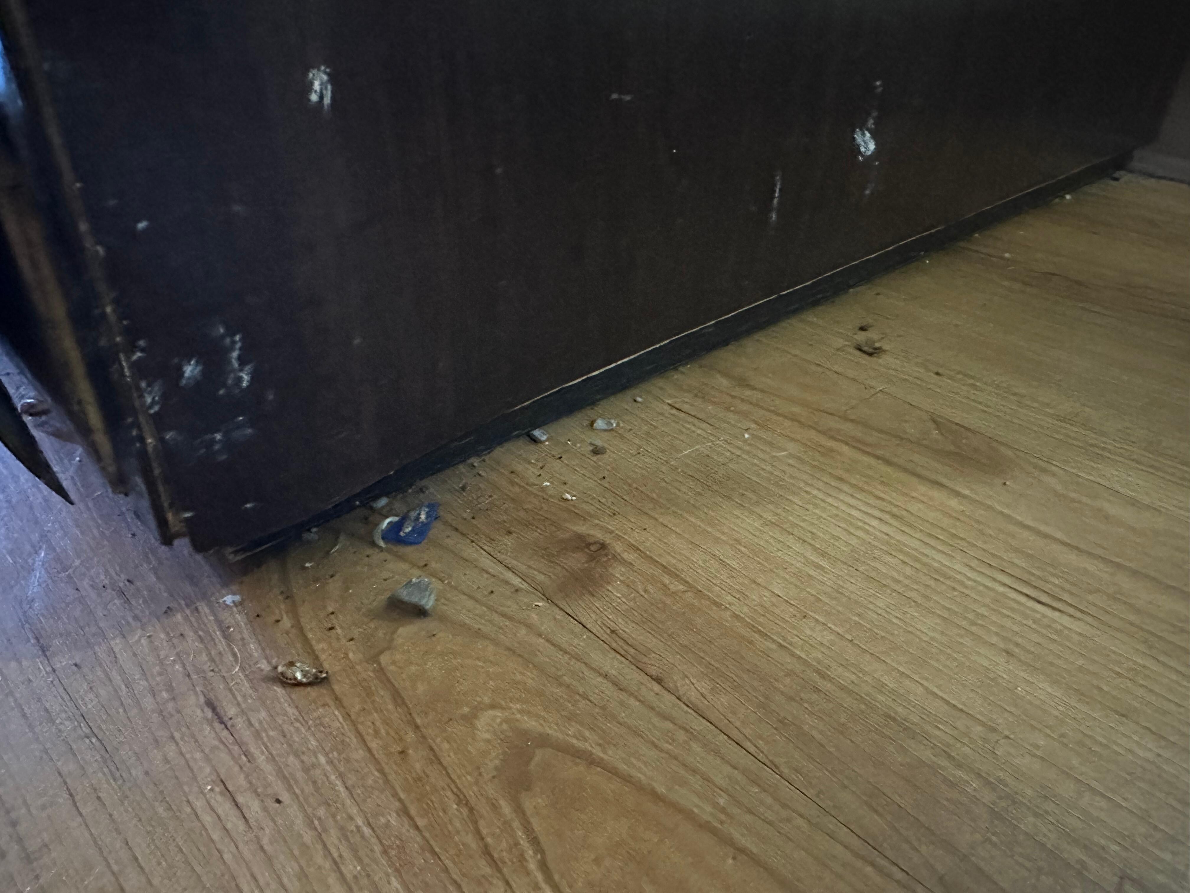 Filthy floors