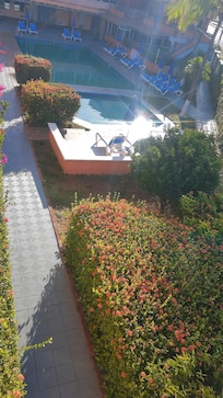 Dead plants and greenish pool water