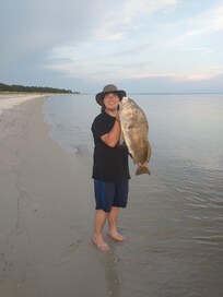My son caught a huge drum!