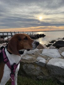 Dubois Beach