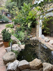 A fish pond in the inner gardens