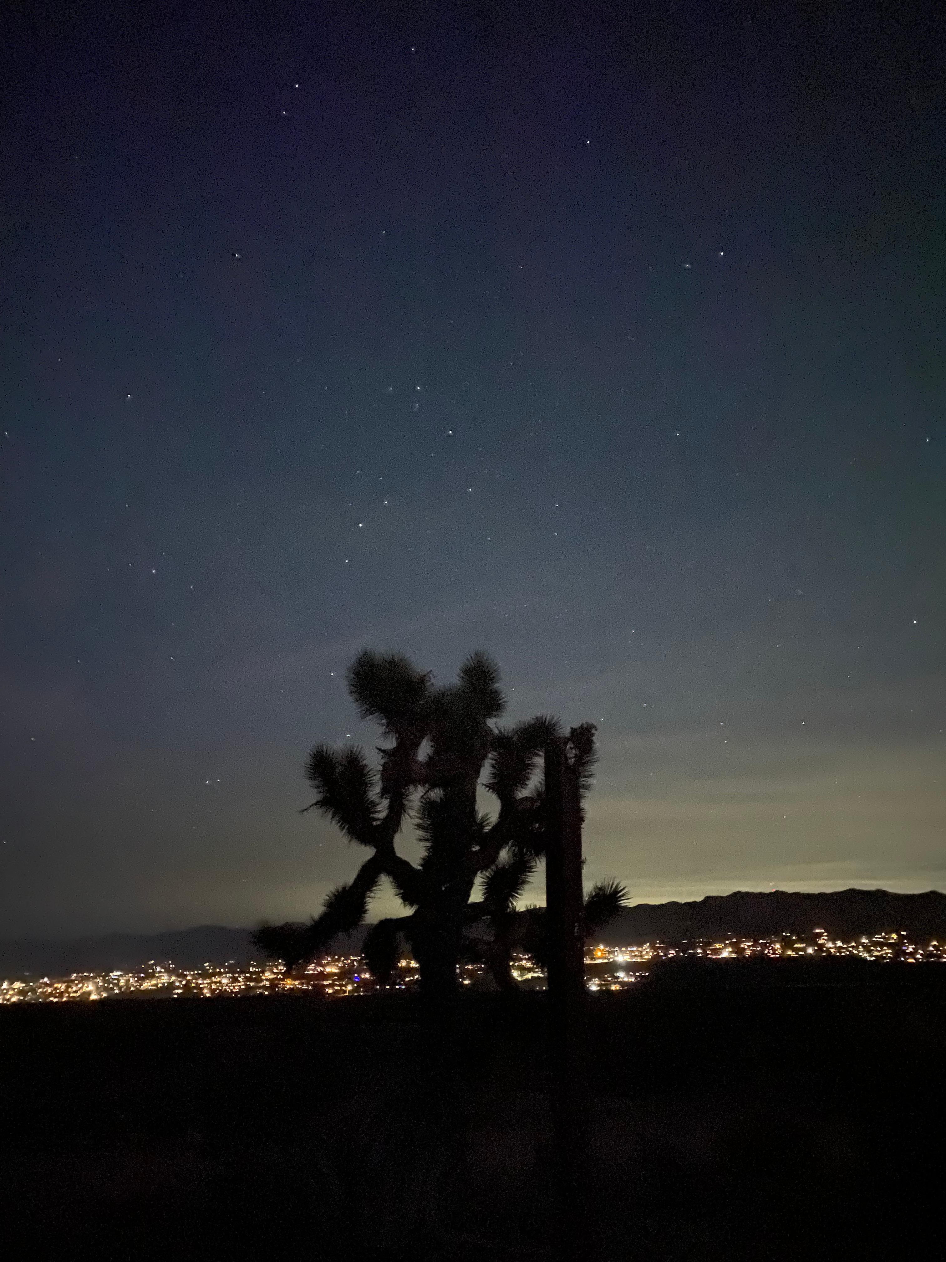 Nighttime view from the patio. 